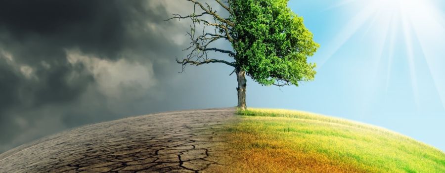 climate change graphic