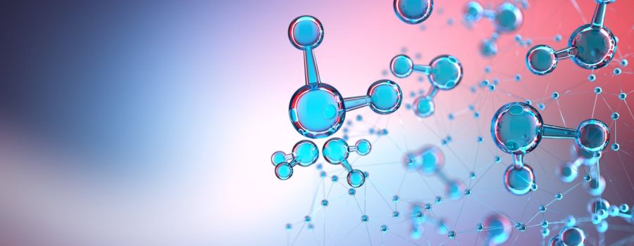 The Rise of Biotech Start…