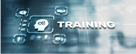 Reviewing the Top AI Trai…